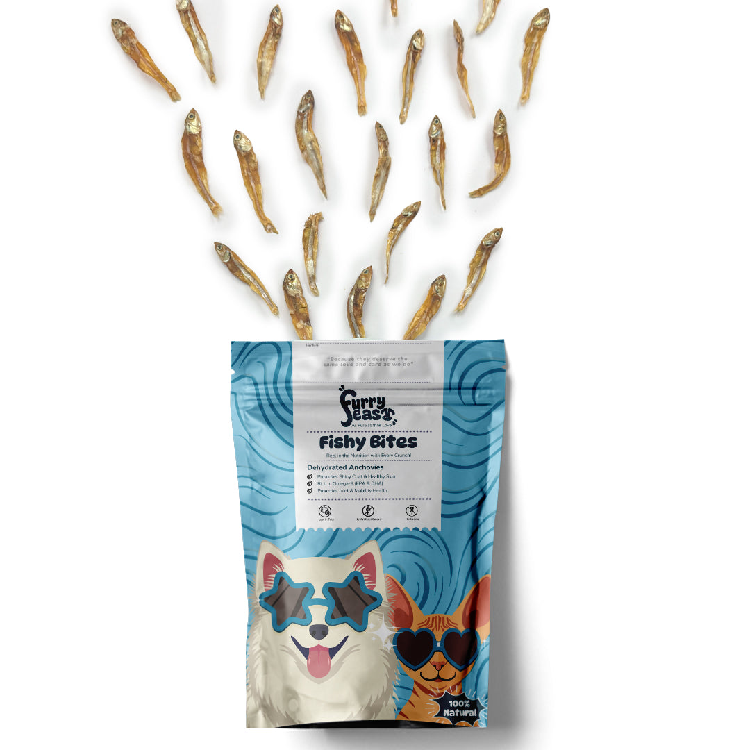 Fishy Bytes – Anchovies