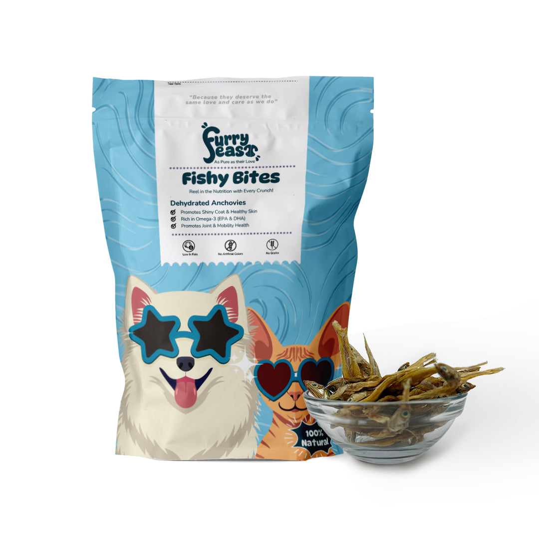 Fishy Bytes – Anchovies