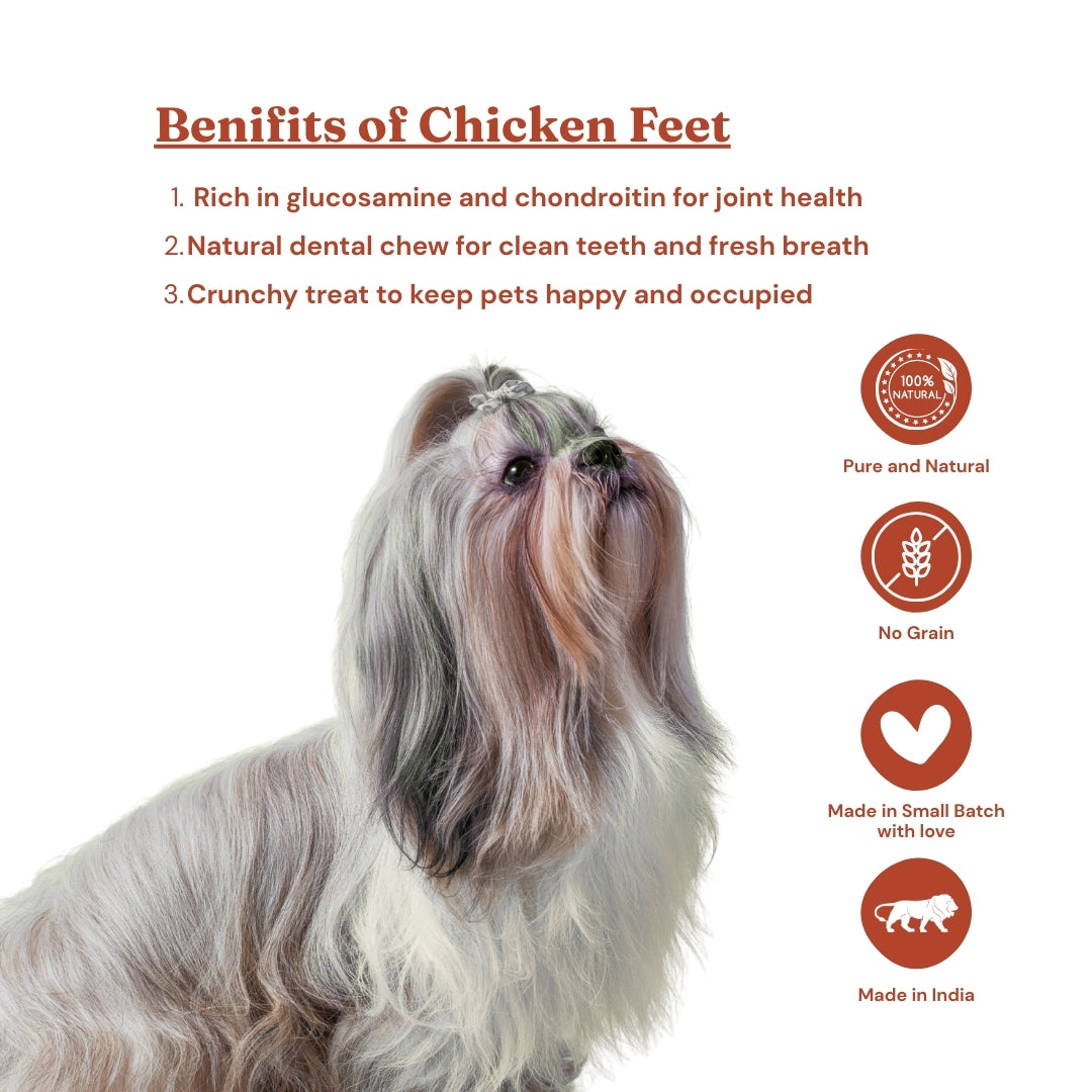 Feety Treats – Chicken Feet (10 pcs/100 gram)