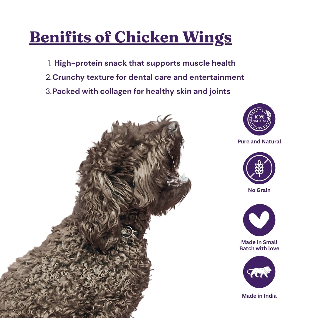 Waggy Wings – Chicken Wings (70G)