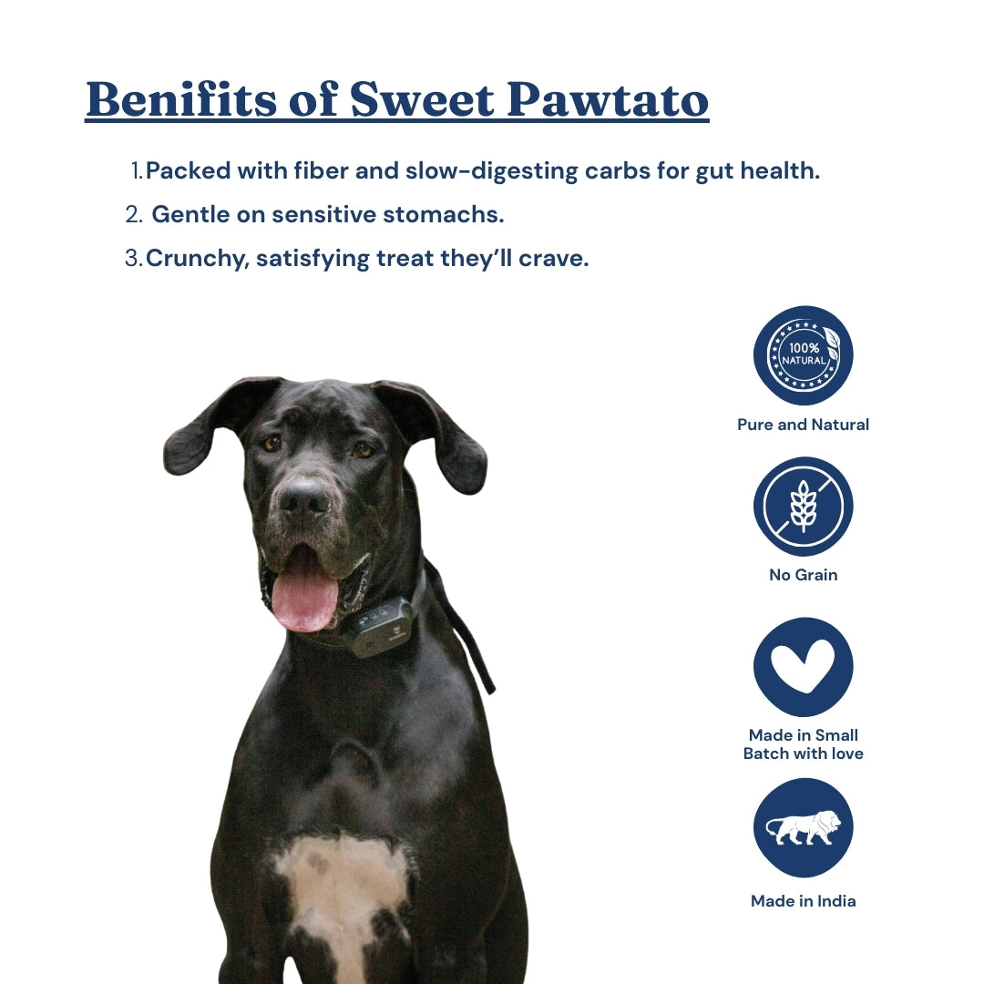 SweetPawtato – Sweet Potato Chips (70G)