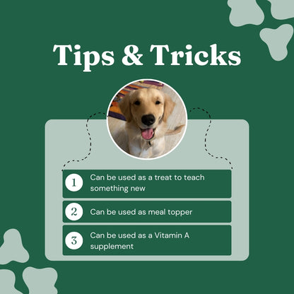Immune Bites – Chicken Liver Jerky (70G)