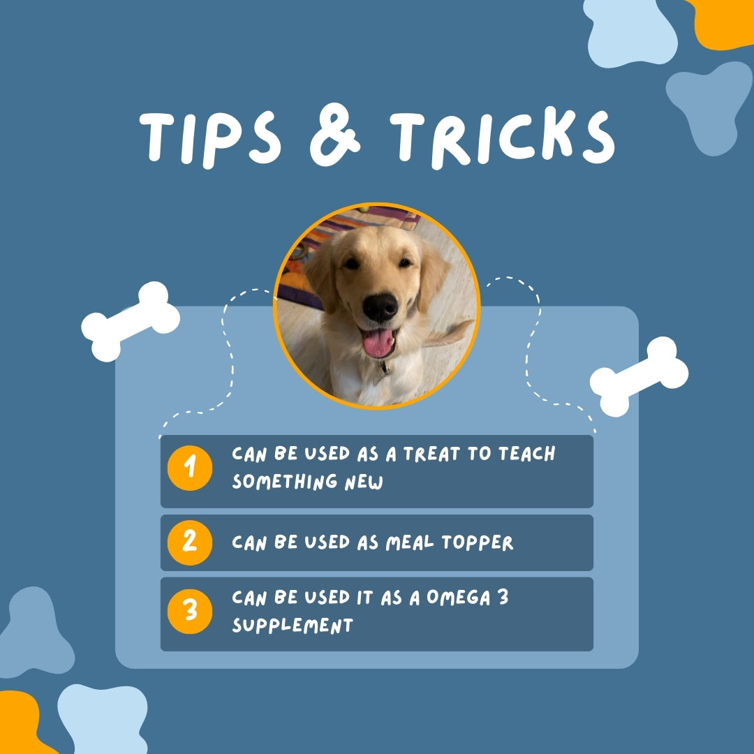 Fishy Bytes - Omega-3 Rich Natural Fish Treats for Dogs & Cats | Skin & Joint Support