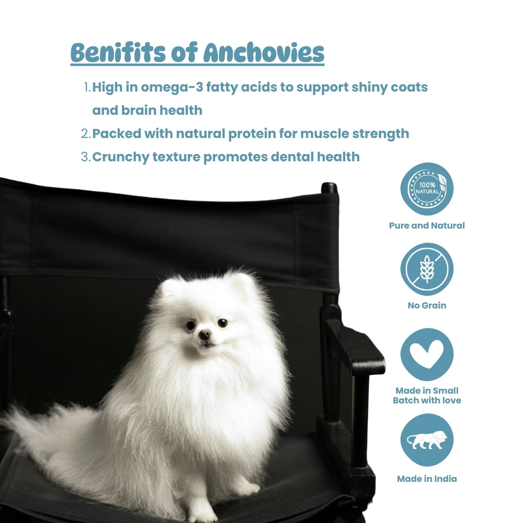 Fishy Bytes – Anchovies