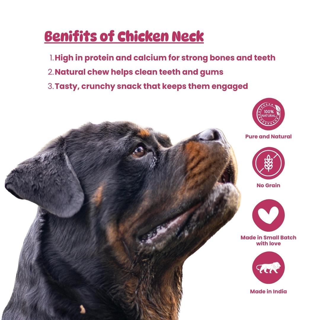 Crunchie Munchie – Chicken Neck