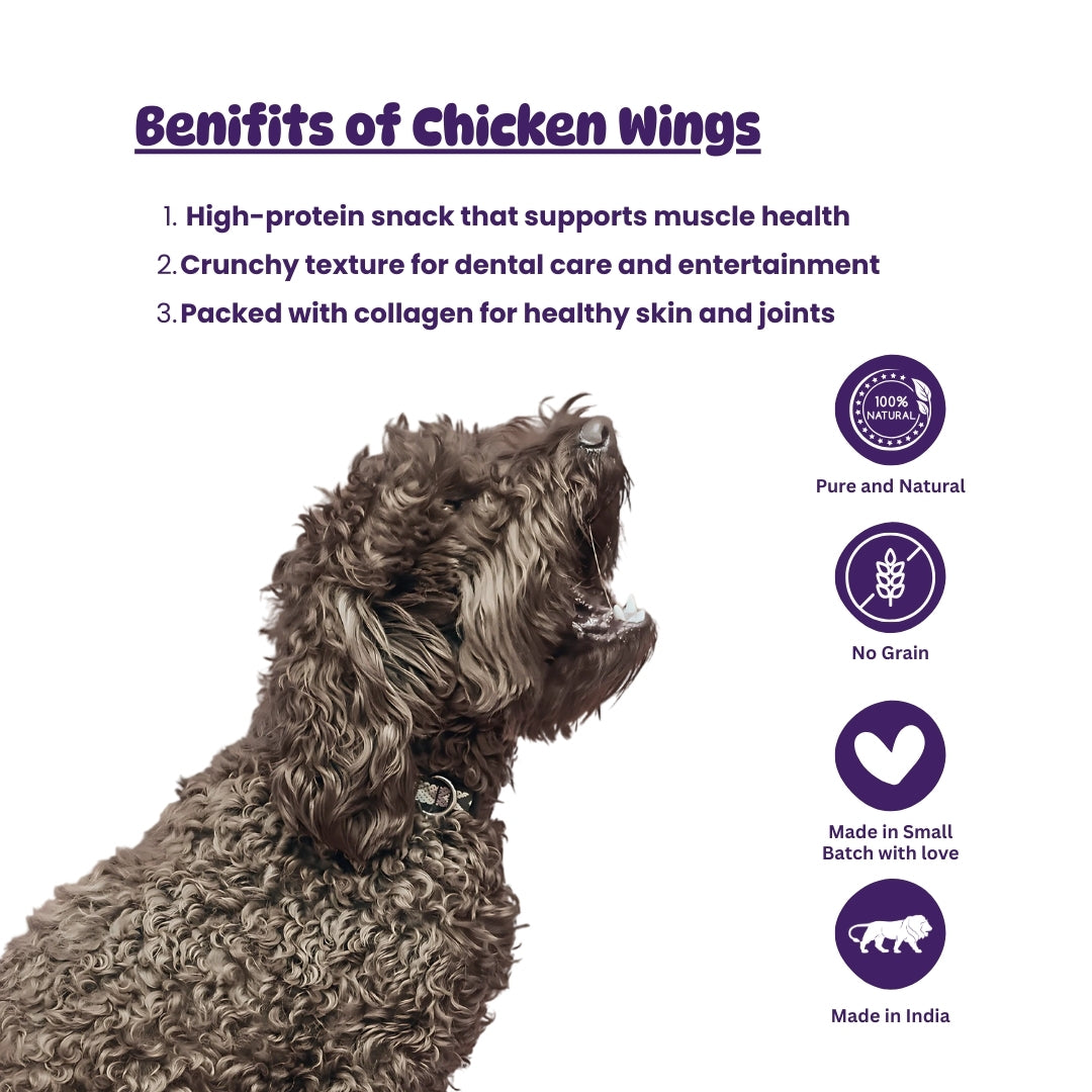 Waggy Wings – Chicken Wings