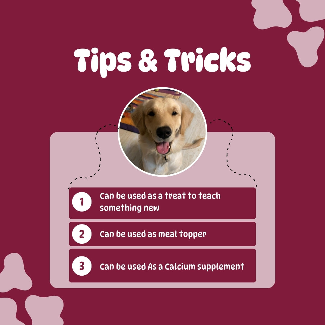 Crunchie Munchie – Chicken Neck